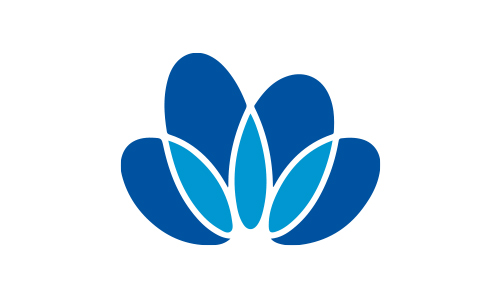 中国中化控股有限责任公司健康安全环保部